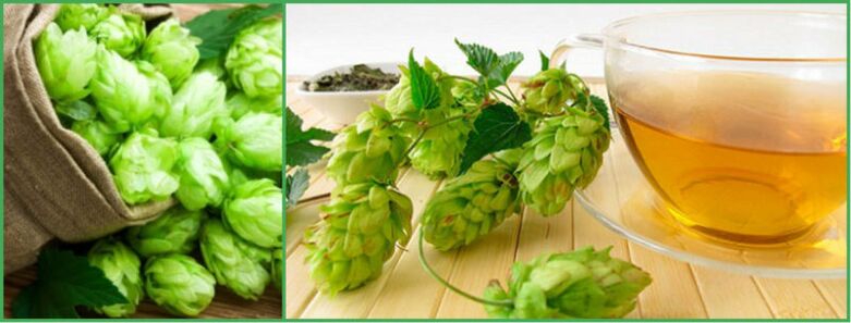 Potency for decoction hops after 50