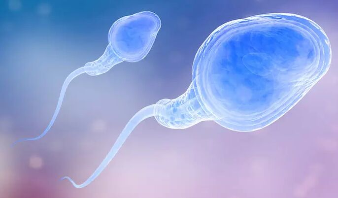 Pre-ejaculate sperm may be present